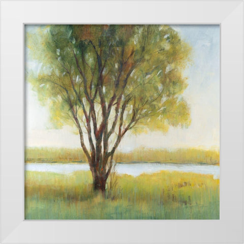 Shade Tree I White Modern Wood Framed Art Print by OToole, Tim