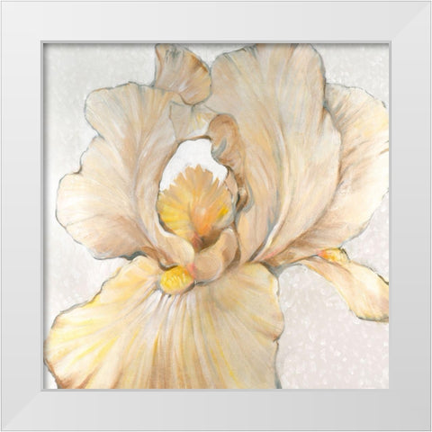 Iris Cream I White Modern Wood Framed Art Print by OToole, Tim