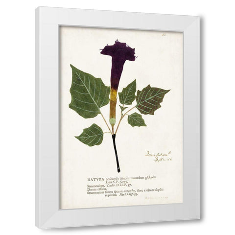 Nature Printed Botanicals IV White Modern Wood Framed Art Print by Unknown