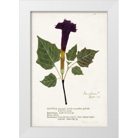 Nature Printed Botanicals IV White Modern Wood Framed Art Print by Unknown