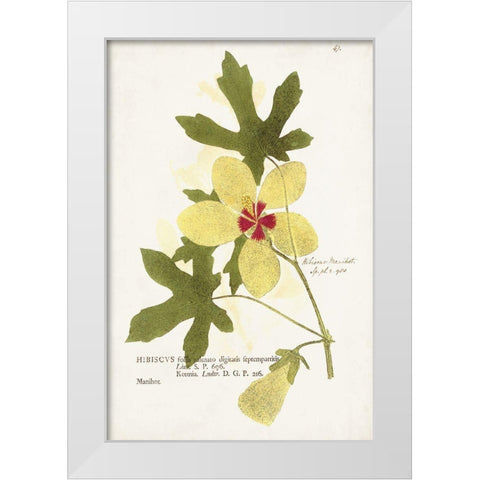 Nature Printed Botanicals XII White Modern Wood Framed Art Print by Unknown