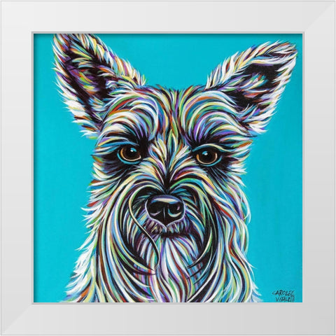 Colorful Schnauzer White Modern Wood Framed Art Print by Vitaletti, Carolee