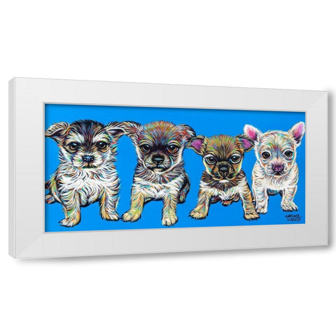 Chihuahua Pups White Modern Wood Framed Art Print by Vitaletti, Carolee