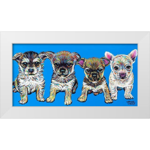 Chihuahua Pups White Modern Wood Framed Art Print by Vitaletti, Carolee