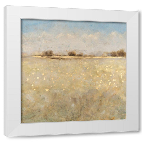 Meadow Plane I White Modern Wood Framed Art Print by OToole, Tim