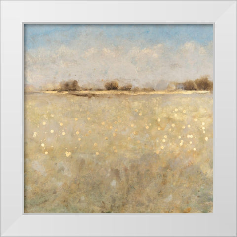 Meadow Plane I White Modern Wood Framed Art Print by OToole, Tim