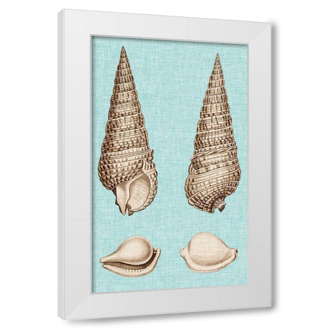 Sepia And Aqua Shells I White Modern Wood Framed Art Print by Vision Studio