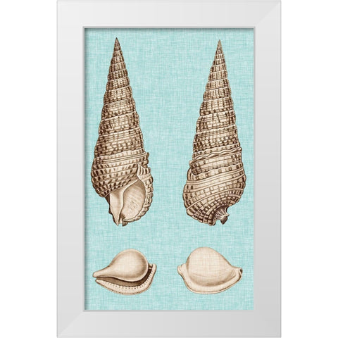 Sepia And Aqua Shells I White Modern Wood Framed Art Print by Vision Studio