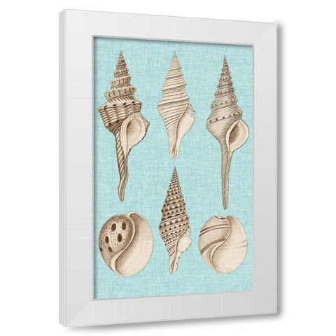 Sepia And Aqua Shells II White Modern Wood Framed Art Print by Vision Studio
