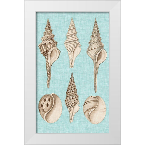 Sepia And Aqua Shells II White Modern Wood Framed Art Print by Vision Studio