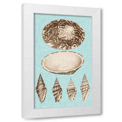 Sepia And Aqua Shells III White Modern Wood Framed Art Print by Vision Studio