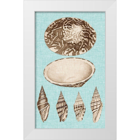 Sepia And Aqua Shells III White Modern Wood Framed Art Print by Vision Studio