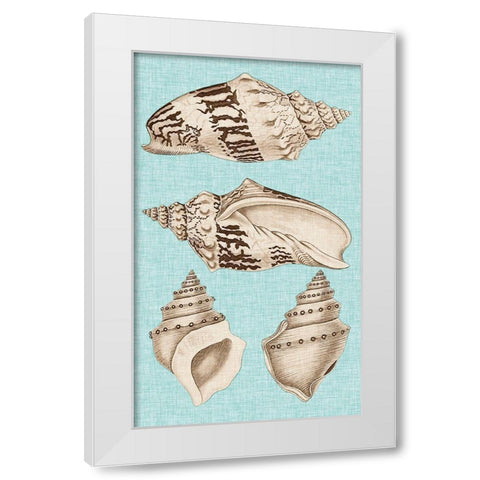 Sepia And Aqua Shells IV White Modern Wood Framed Art Print by Vision Studio