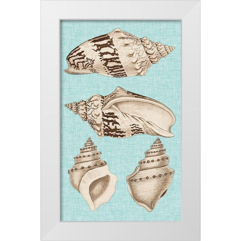 Sepia And Aqua Shells IV White Modern Wood Framed Art Print by Vision Studio