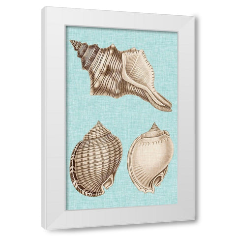 Sepia And Aqua Shells V White Modern Wood Framed Art Print by Vision Studio