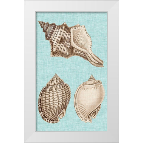 Sepia And Aqua Shells V White Modern Wood Framed Art Print by Vision Studio