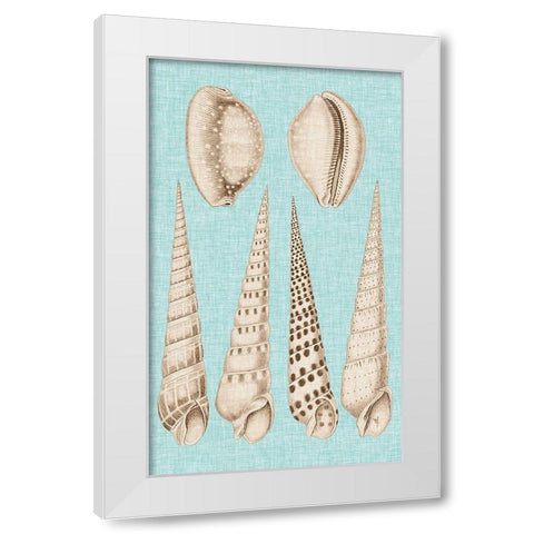 Sepia And Aqua Shells VI White Modern Wood Framed Art Print by Vision Studio