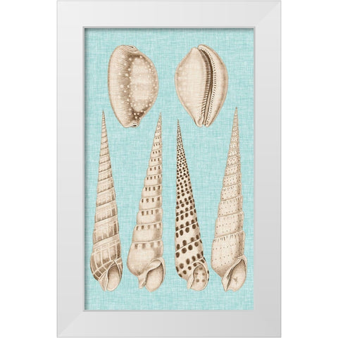 Sepia And Aqua Shells VI White Modern Wood Framed Art Print by Vision Studio