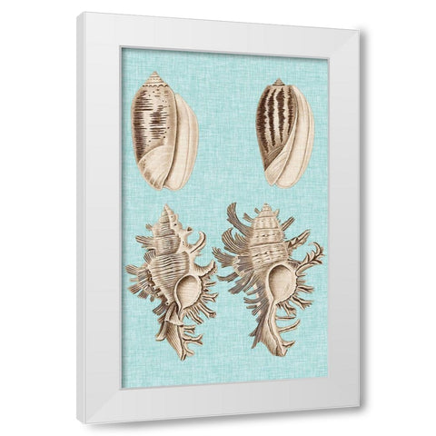 Sepia And Aqua Shells VII White Modern Wood Framed Art Print by Vision Studio