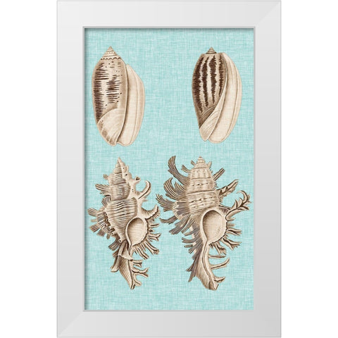 Sepia And Aqua Shells VII White Modern Wood Framed Art Print by Vision Studio