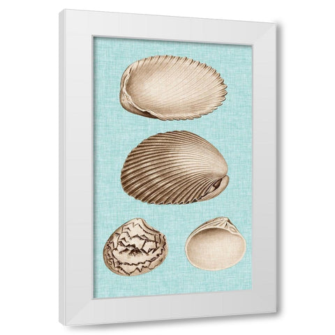 Sepia And Aqua Shells VIII White Modern Wood Framed Art Print by Vision Studio