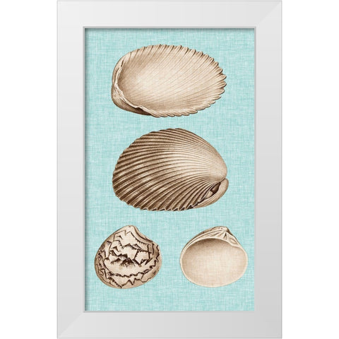 Sepia And Aqua Shells VIII White Modern Wood Framed Art Print by Vision Studio