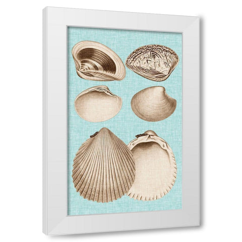 Sepia And Aqua Shells IX White Modern Wood Framed Art Print by Vision Studio