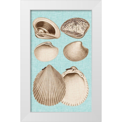 Sepia And Aqua Shells IX White Modern Wood Framed Art Print by Vision Studio