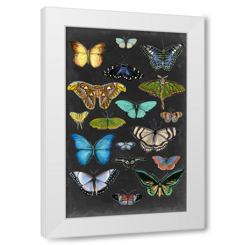 Graphic Butterfly Taxonomy I White Modern Wood Framed Art Print by McCavitt, Naomi