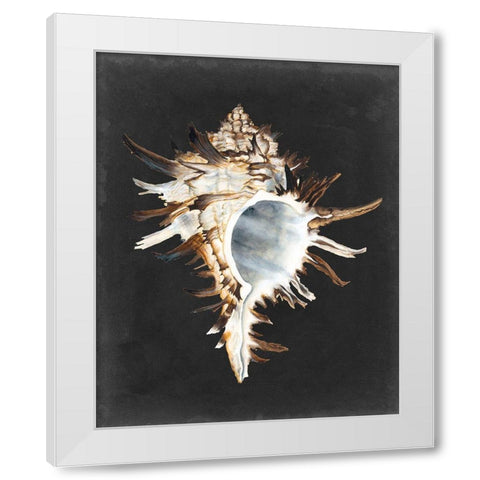 Graphic Black Murex White Modern Wood Framed Art Print by Willett, Michael