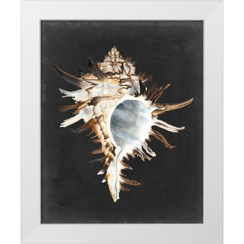 Graphic Black Murex White Modern Wood Framed Art Print by Willett, Michael