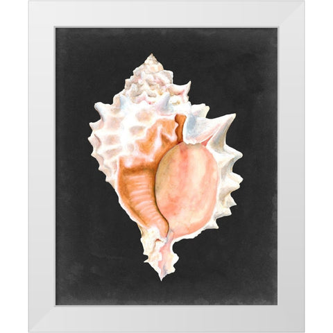 Graphic Pink Murex White Modern Wood Framed Art Print by Willett, Michael