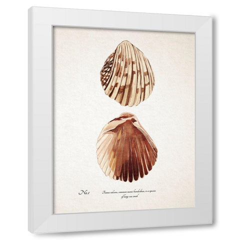 Sienna Shell Collector I White Modern Wood Framed Art Print by Warren, Annie