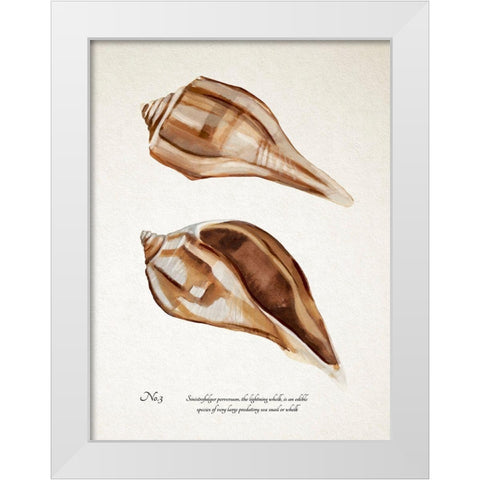 Sienna Shell Collector III White Modern Wood Framed Art Print by Warren, Annie