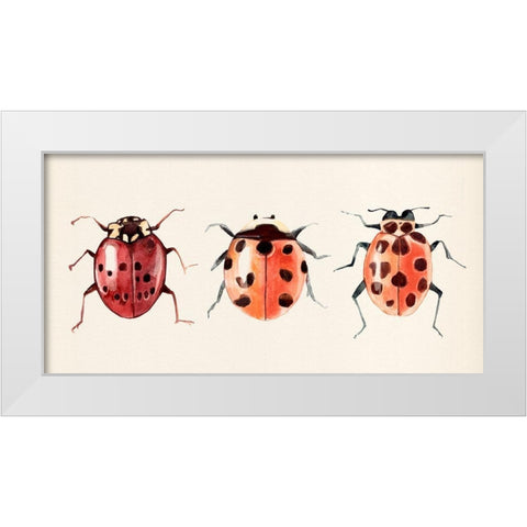 Ladybug Display I White Modern Wood Framed Art Print by Warren, Annie