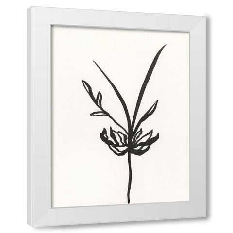 Ink Botanical Sketch I White Modern Wood Framed Art Print by Holland, J.