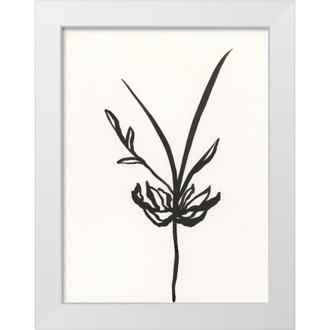 Ink Botanical Sketch I White Modern Wood Framed Art Print by Holland, J.