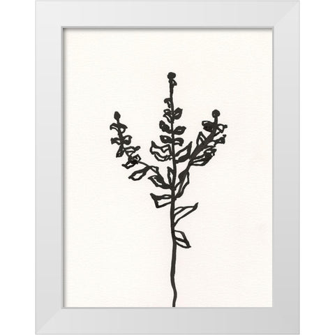 Ink Botanical Sketch II White Modern Wood Framed Art Print by Holland, J.