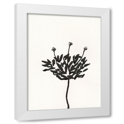 Ink Botanical Sketch III White Modern Wood Framed Art Print by Holland, J.