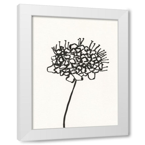 Ink Botanical Sketch V White Modern Wood Framed Art Print by Holland, J.