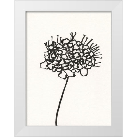 Ink Botanical Sketch V White Modern Wood Framed Art Print by Holland, J.
