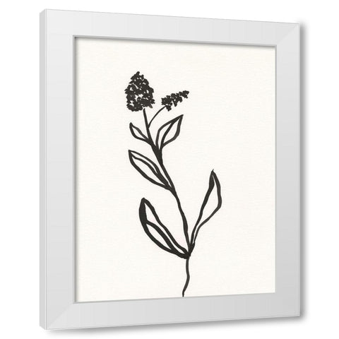 Ink Botanical Sketch VI White Modern Wood Framed Art Print by Holland, J.