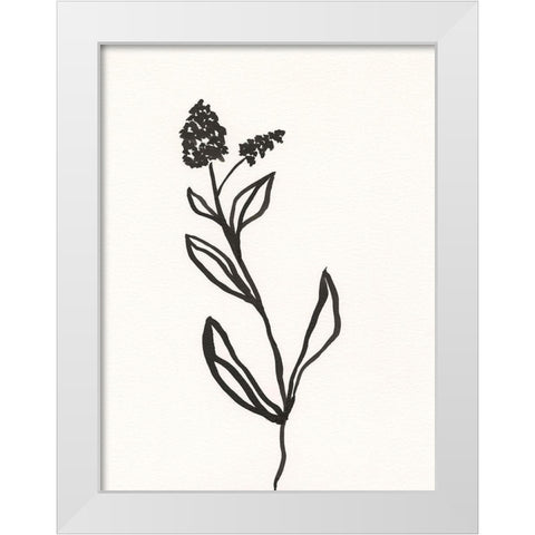 Ink Botanical Sketch VI White Modern Wood Framed Art Print by Holland, J.