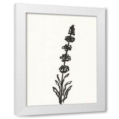 Ink Botanical Sketch VII White Modern Wood Framed Art Print by Holland, J.