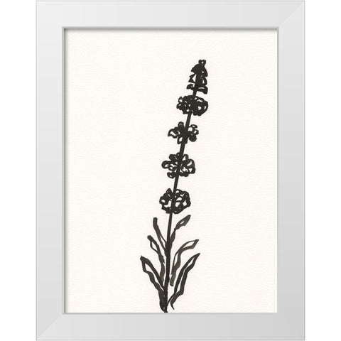Ink Botanical Sketch VII White Modern Wood Framed Art Print by Holland, J.
