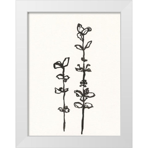 Ink Botanical Sketch VIII White Modern Wood Framed Art Print by Holland, J.