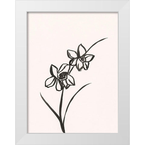 Ink Botanical Sketch XII White Modern Wood Framed Art Print by Holland, J.