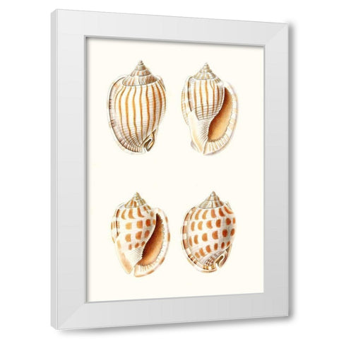 Lamarck Shells I White Modern Wood Framed Art Print by Lamarck