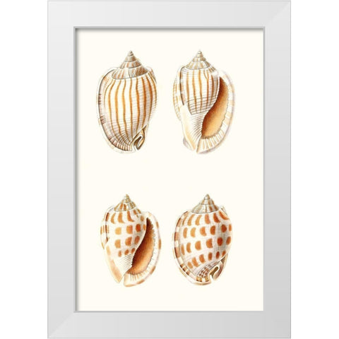 Lamarck Shells I White Modern Wood Framed Art Print by Lamarck