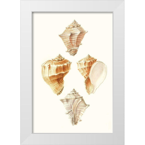 Lamarck Shells VI White Modern Wood Framed Art Print by Lamarck